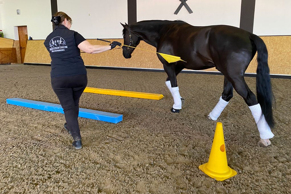 Training in der Quadratvolte