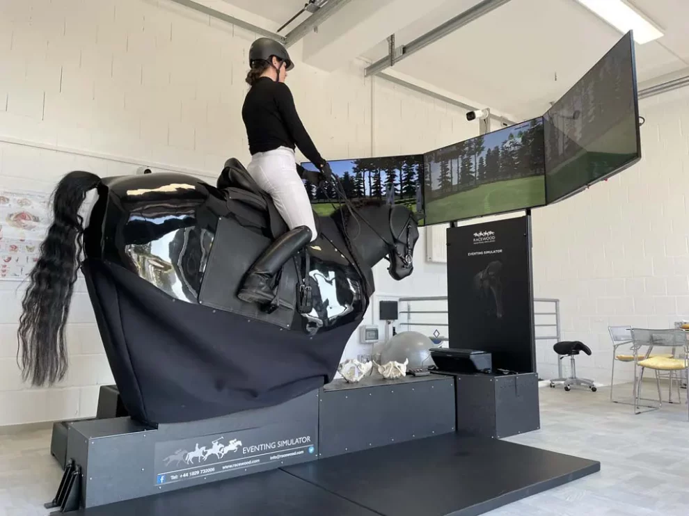 Landephase nach dem Sprung