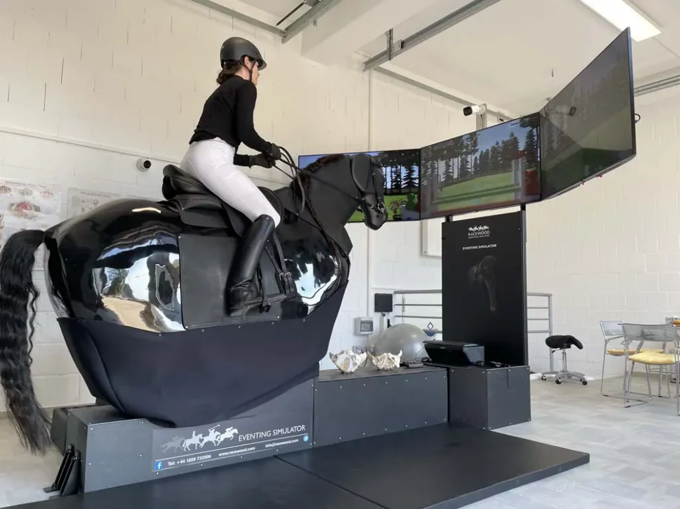 Reitsimulator in der Nähe von Frankfurt_Sprung anreiten