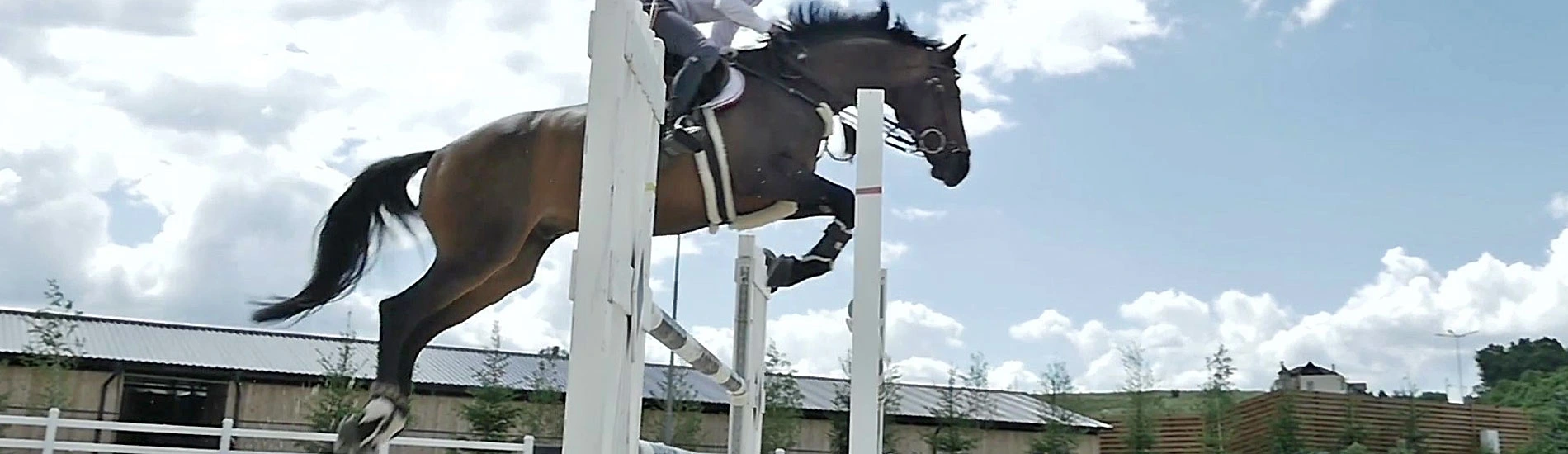 Reitsimulator testen