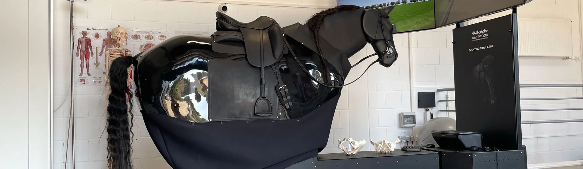 Reitsimulator in der Nähe von Frankfurt