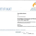 AKI Bicom Zertifikat Die häufigsten Erkrankungen bei Pferden